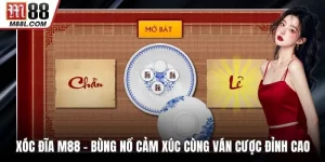Xóc Đĩa M88 - Bùng Nổ Cảm Xúc Cùng Những Ván Cược Đỉnh Cao